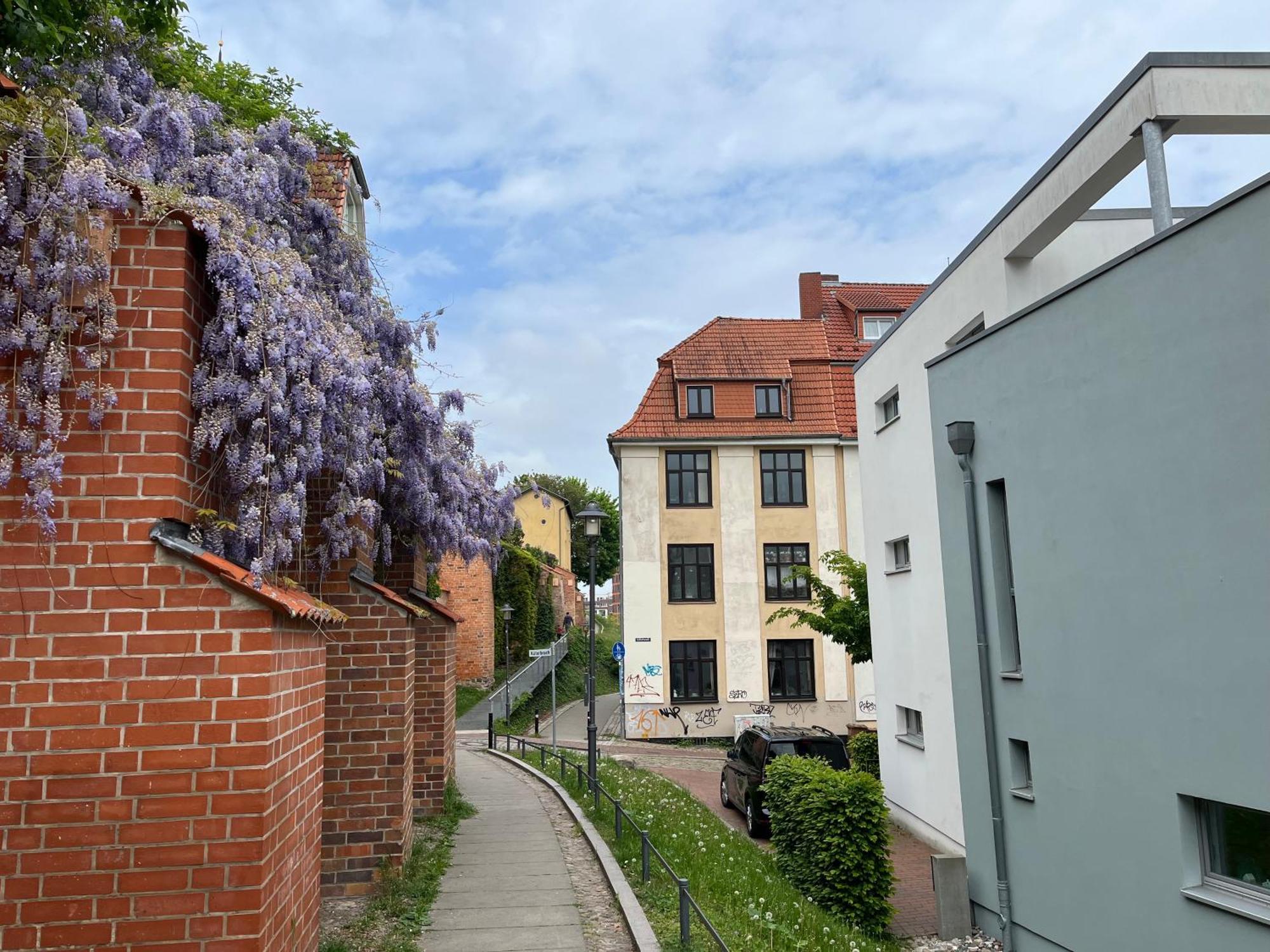 Ferienwohnung An Der Historischen Stadtmauer روستوك المظهر الخارجي الصورة